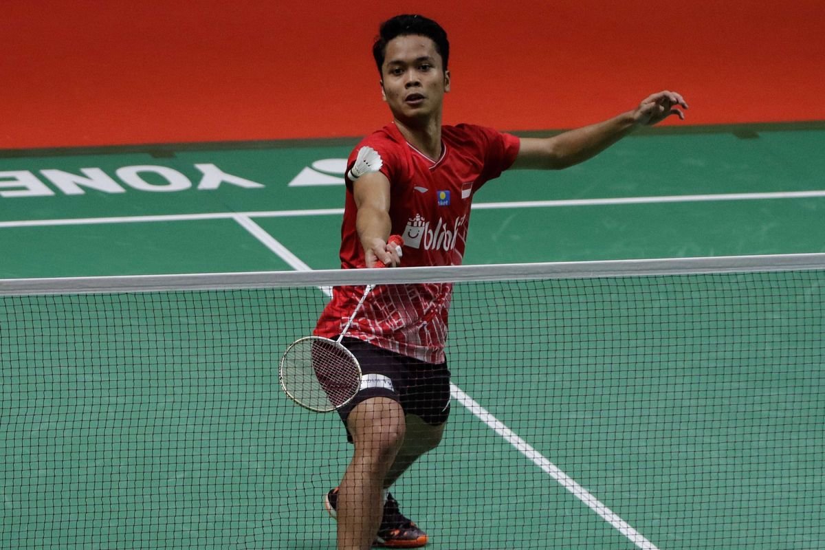 netting bulu tangkis